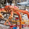 cua hoàng đế bằng mô hình xốp