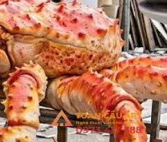 mau-cua-hoang-de-bang-mo-hinh-xop mẫu cua hoàng đế bằng mô hình xốp