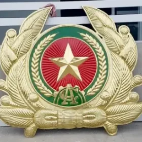 phù điêu huy hiệu công an