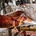tượng tôm hùm bằng xốp mô hình trang trí cửa hàng hải sản