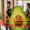 điêu khắc mô hình quả bơ bằng xốp 3d