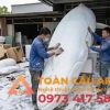 cắt thô Mô hình xốp Cá Voi Xanh