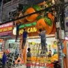 lăp đặt mô hình xốp   3D Quả Cam
