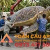 lắp đặt mô hình xốp Rùa biển
