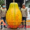 thi công mô hình xốp trái cây đu đủ tại xưởng