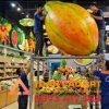 lắp đặt mô hình xốp trái cây  đu đủ tại cửa hàng nông sản