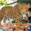 mô hình xốp Báo gấm