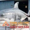mô hình xốp Cá mập