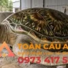 mô hình xốp Rùa biển